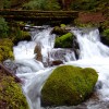 apts seattle: creek