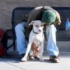 apts seattle: homeless