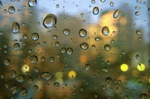 apts seattle: rain1
