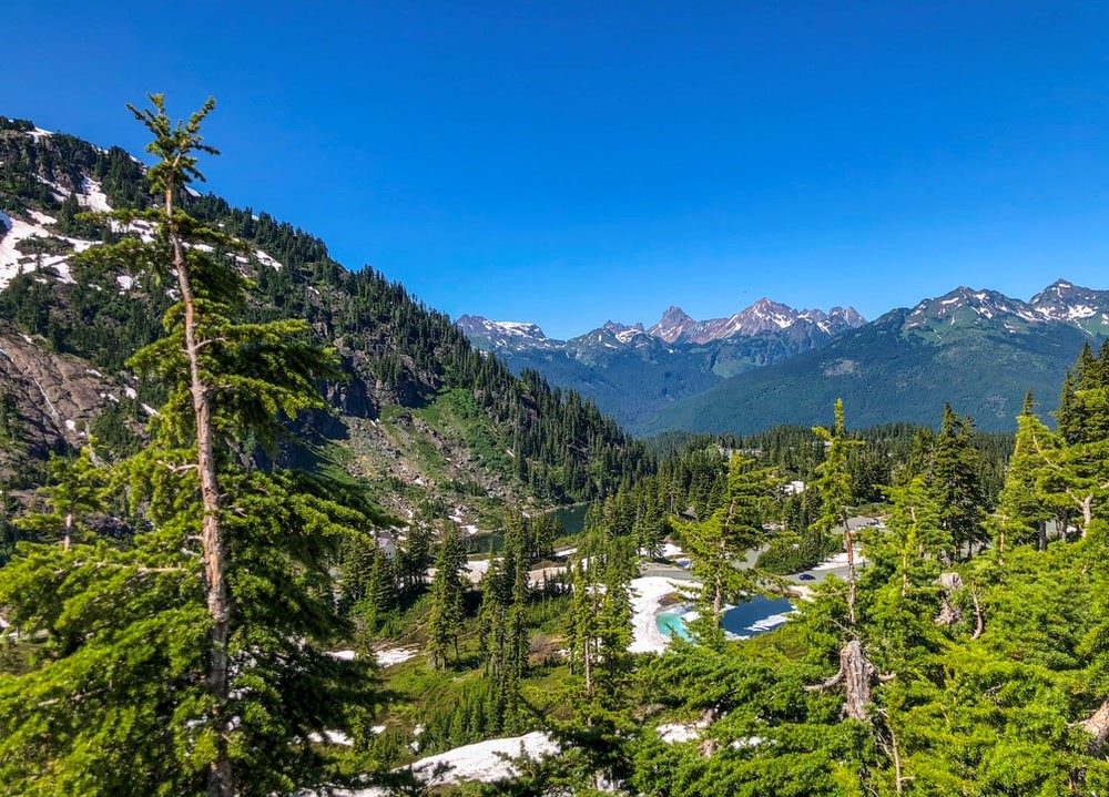 landscape photography of trees and mountains