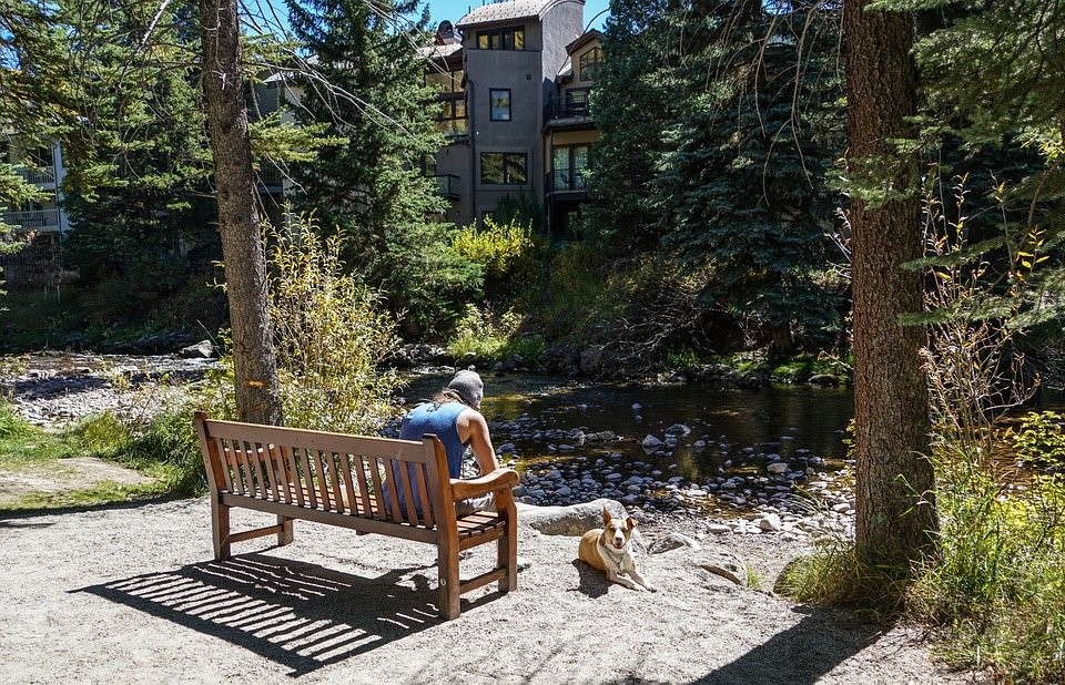 Person People, Dog, Bench, River, Animal, Pet, Happy