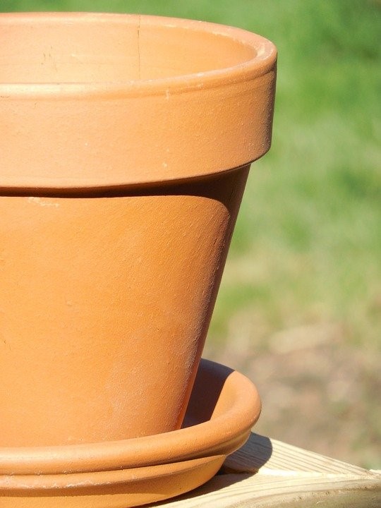 Terra Cotta, Clay, Pot, Terra, Cotta, Flower, Plant